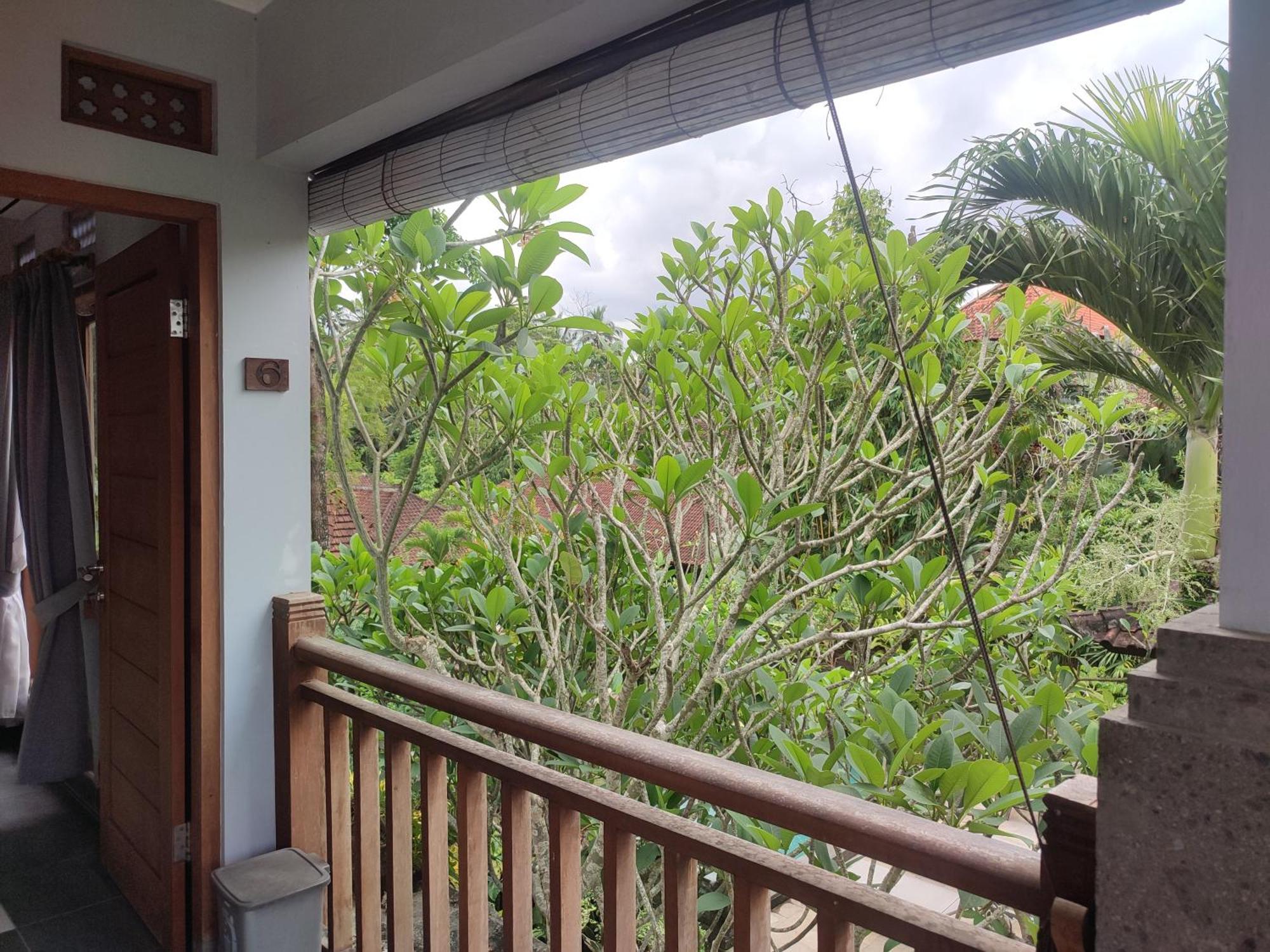 Nyoman Homestay Ubud Exterior photo
